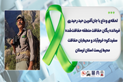 لحظه‌ی وداع با جان‌آفرین حیدر حیدری فرمانده یگان حفاظت منطقه حفاظت‌شده سفیدکوه خرم‌آباد و محیط‌بان حفاظت محیط زیست استان لرستان